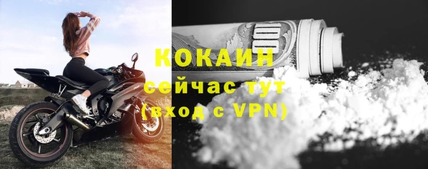 твердый Кукмор
