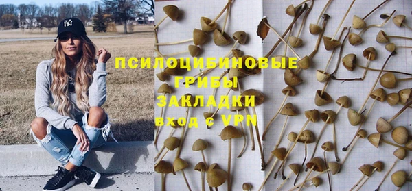 мдпв Куйбышев