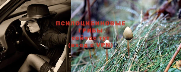 твердый Кукмор