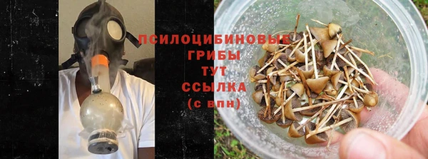 мдпв Куйбышев